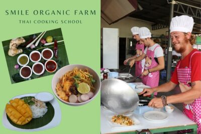 Full Day Thai Cooking at Farm (Chiang Mai) - The Market Stop: Where Your Ingredients Get Names