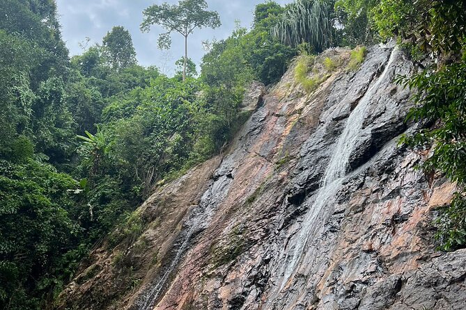 Half Day Highlights Koh Samui Tour - Wat Khunaram and the mummified monk: a solemn stop