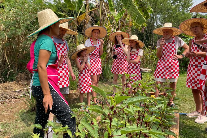 Half-Day Thai Cooking Class at Organic Farm in Chiang Mai - Key things that make this class work