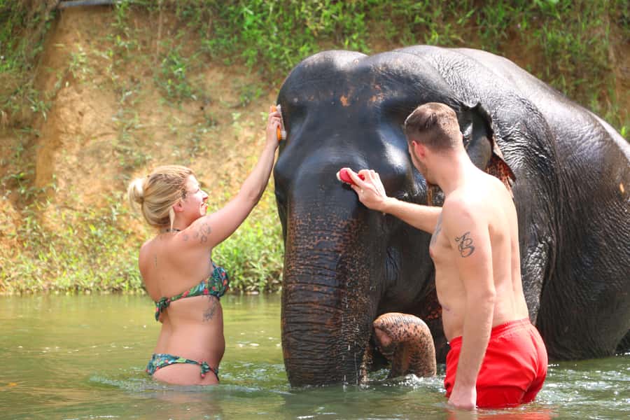 Khao Lak: Khao Sok Bamboo Rafting and Elephant Bathing Trip - Should you book it?