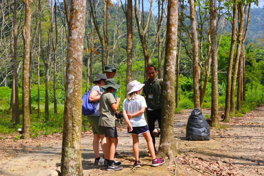 Khao Lak: Khao Sok Bamboo Rafting and Elephant Bathing Trip - Bamboo coffee and the limestone cave stop