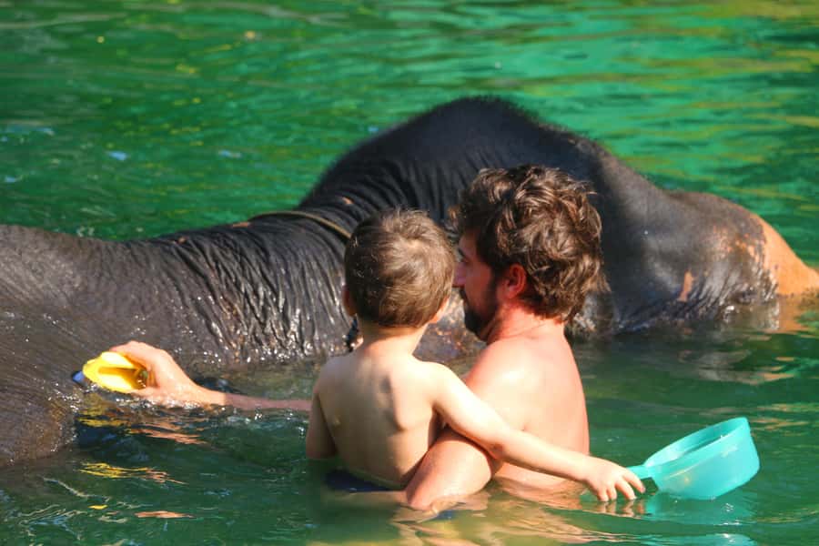 Khao Lak: Rafting, Elephant Bathing & Sea Turtle Center Tour - Ton Pling Waterfall: a cooling stop, not a theme-park spectacle