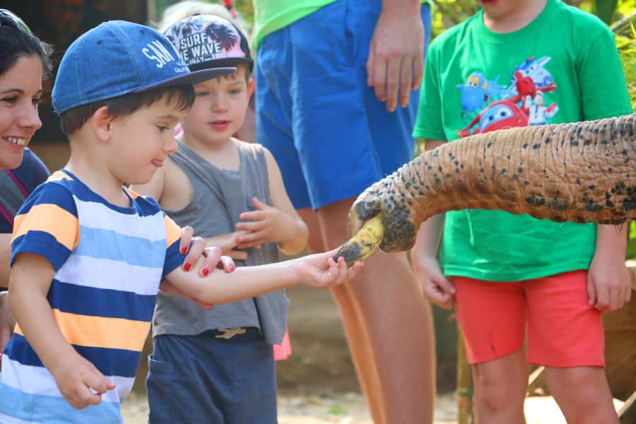 Khao Lak: Rafting, Elephant Bathing & Sea Turtle Center Tour - Bamboo rafting on a quiet river with a local boatman