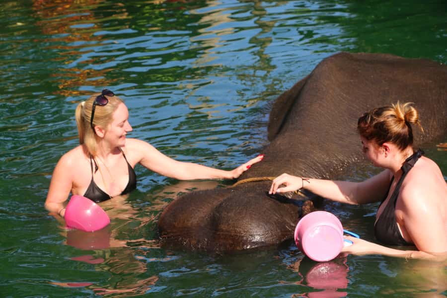 Khao Lak: Rafting, Elephant Bathing & Sea Turtle Center Tour - Elephant bathing and banana feeding: the highlight you’ll remember