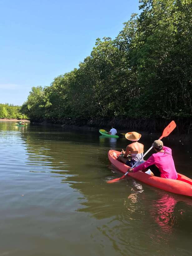 Ko Lanta: Half-Day Mangrove Kayaking Tour with Lunch - Kayaking Ko Lanta’s Ban Thung Yee Peng Mangroves