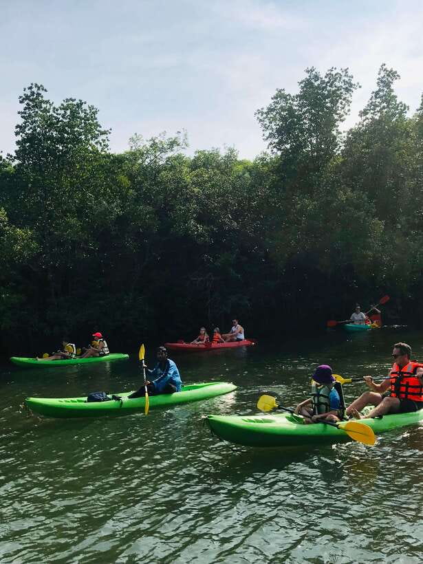 Ko Lanta: Half-Day Mangrove Kayaking Tour with Lunch - Who This Tour Fits Best (And Who Might Want a Different Plan)