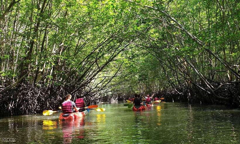 Ko Lanta: Half-Day Mangrove Kayaking Tour with Lunch - Village and Fish Farm: How Local Life Fits Into the Day