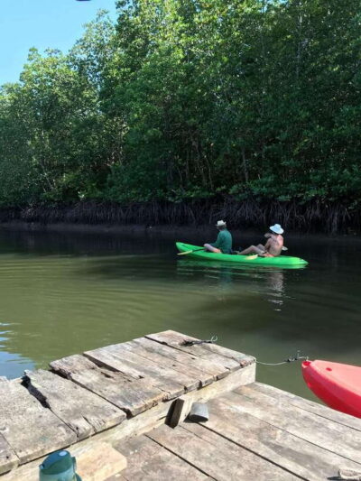Ko Lanta: Half-Day Mangrove Kayaking Tour with Lunch - Monkey Time From the Boat: Controlled, Safety-First, and a Little Wild