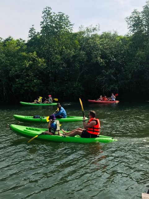 Ko Lanta: Half-Day Mangrove Kayaking Tour with Lunch - Timing and Tides: Why 3 Hours Can Feel Different