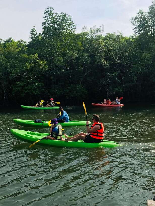 Ko Lanta: Half-Day Mangrove Kayaking Tour with Lunch - What You Get Included (And What You Should Bring Anyway)