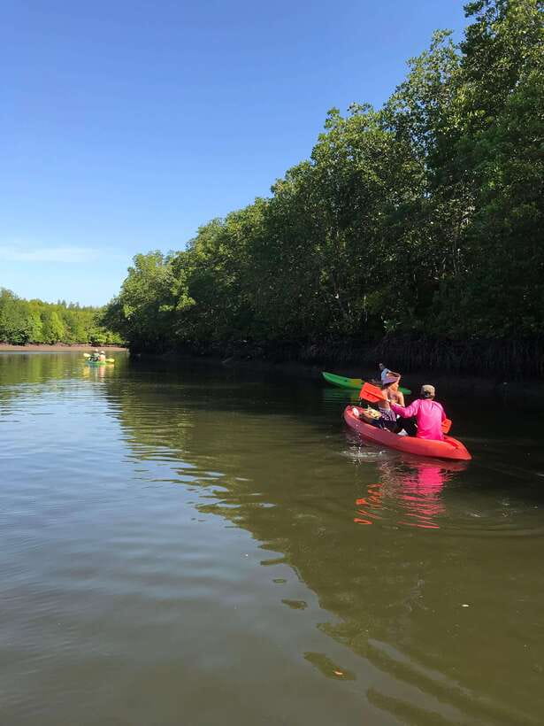 Ko Lanta: Half-Day Mangrove Kayaking Tour with Lunch - Price and Value: Is $26 Worth a Half-Day in Ko Lanta?