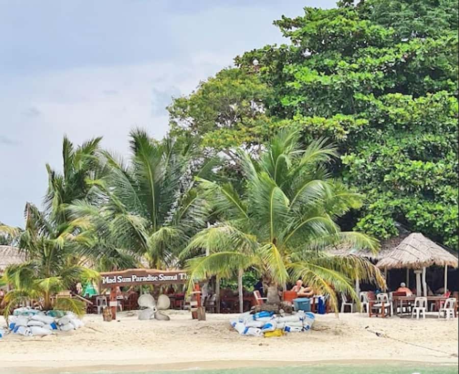 Ko Samui: Pig Island Snorkeling and Koh Tan Speedboat Tour - Price and Value: $51 Tour Price vs the 50฿ Entrance Fee