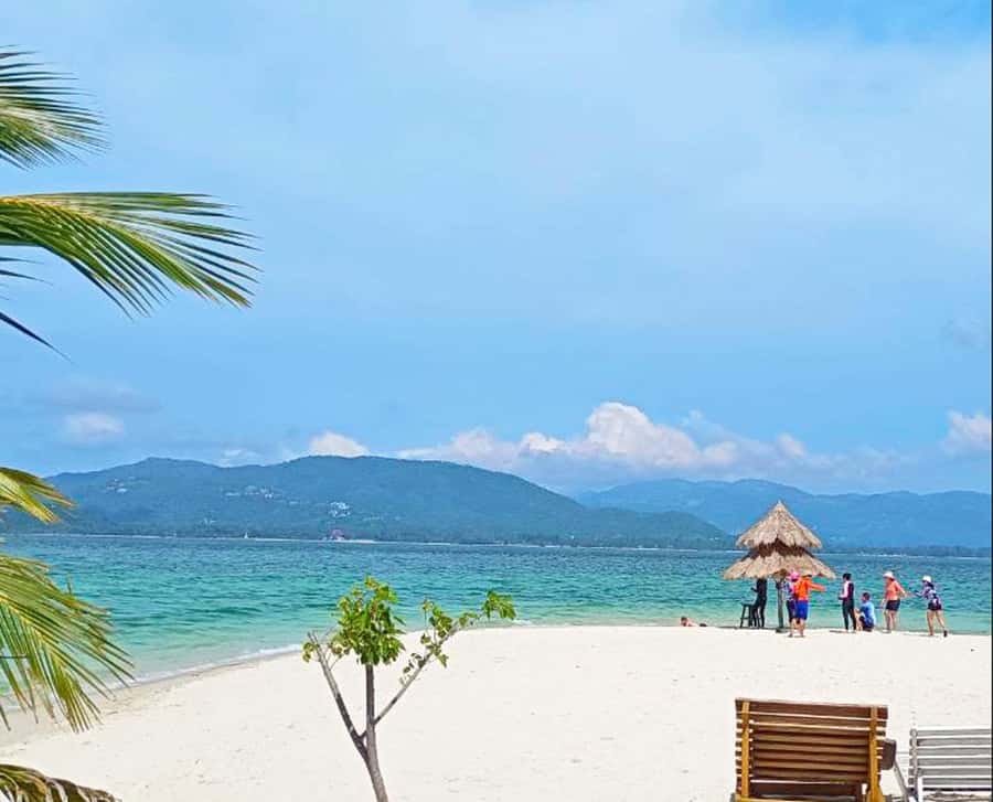 Ko Samui: Pig Island Snorkeling and Koh Tan Speedboat Tour - Who Should Book This Pig Island and Koh Tan Tour