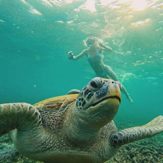 Ko Tao: Tao-Nangyuan Snorkeling Day Trip with Meals & Sunset - Gear, comfort, and practical tips so you enjoy every stop