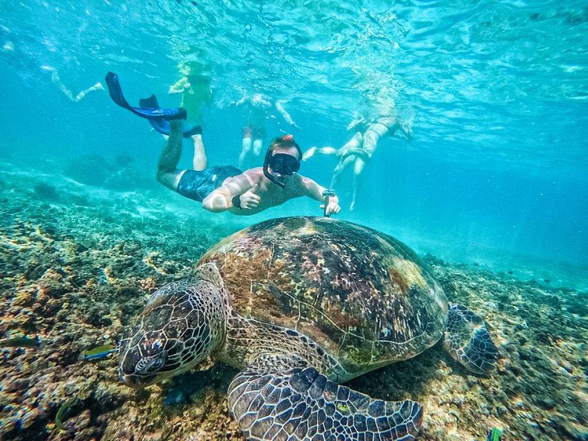 Ko Tao: Tao-Nangyuan Snorkeling Day Trip with Meals & Sunset - Banana Rock and sunset BBQ: the day’s payoff meal