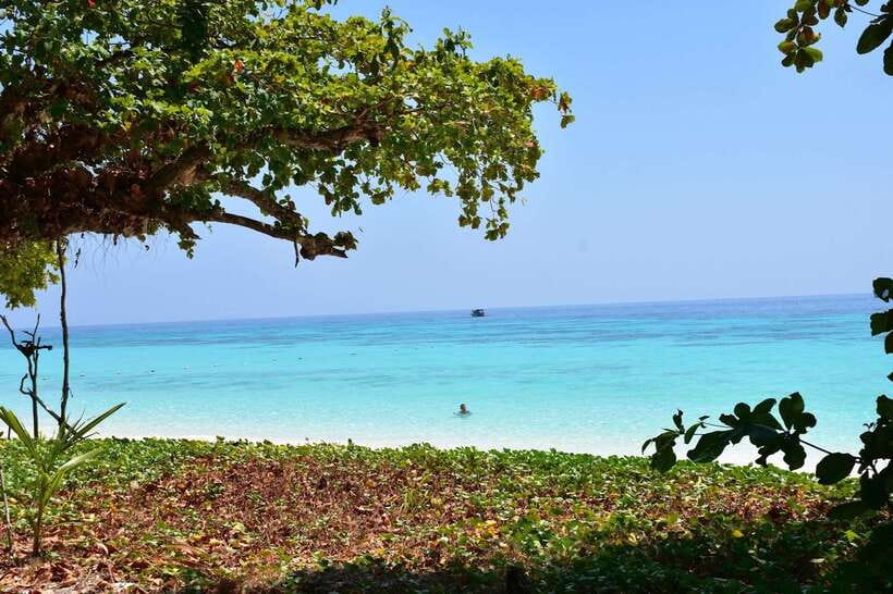 Koh Lanta: Adventure Sea Tour to Koh Rok and Koh Haa - Key highlights that make this tour worth your time