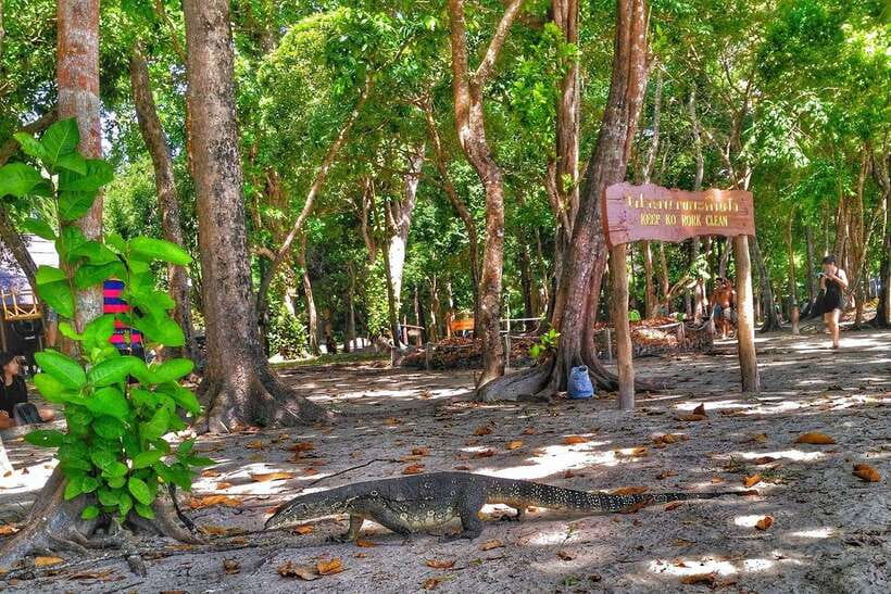 Koh Lanta: Adventure Sea Tour to Koh Rok and Koh Haa - What to expect from the snorkeling gear (and what to bring anyway)
