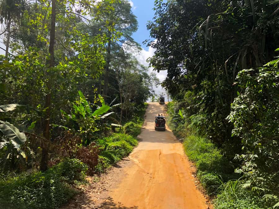 Koh Samui: 4x4 Off Road Island Safari Tour Including Lunch - Coconut and rubber plantations: what you learn and why it matters