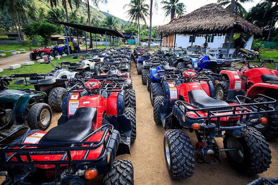 Koh Samui: ATV Quad Bike Safari Tour - Entering Koh Samui’s Jungle on Japanese ATVs