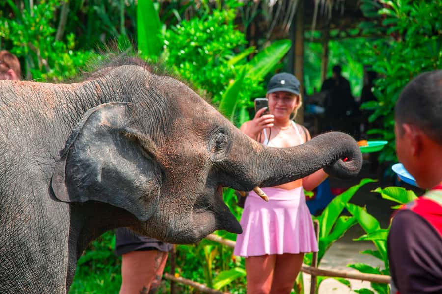 Koh Samui: Elephant Sanctuary and Jungle Tour with Lunch - The 4WD Jeep/SUV Ride: Fun Views, Real Terrain, Smart Safety Mindset
