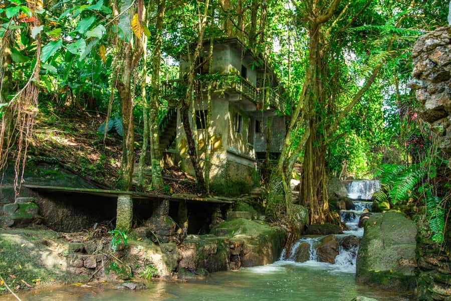 Koh Samui: Elephant Sanctuary and Jungle Tour with Lunch - Lunch at the Mountain Jungle Restaurant: Thai Food With Island Views