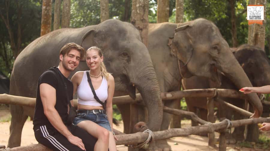 Koh Samui: Elephant Sanctuary Entry and Feeding Experience - Key things I’d watch for