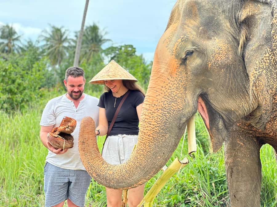 Koh Samui: Ethical Elephant Home Guided Tour with Transfers - Jungle time: watching elephants roam freely (and calmly)