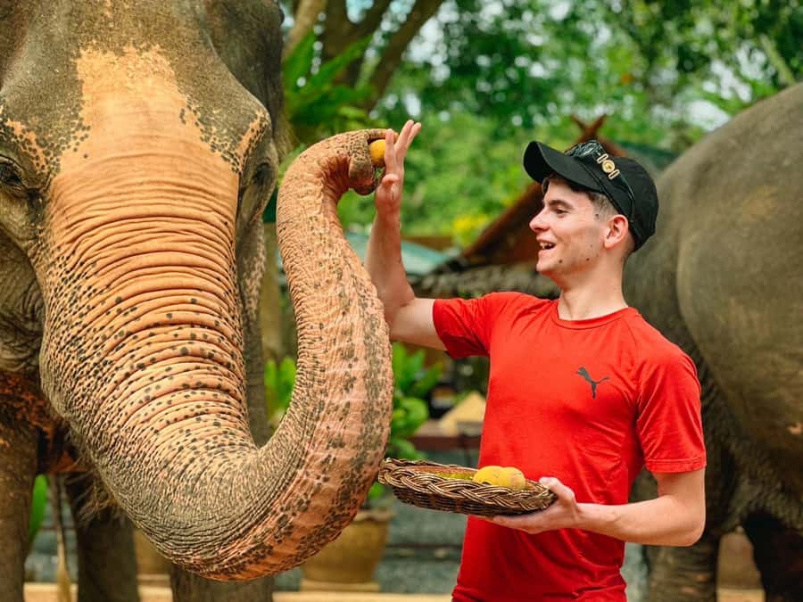 Koh Samui: Ethical Elephant Home Guided Tour with Transfers - Cooking elephant food and feeding the right way