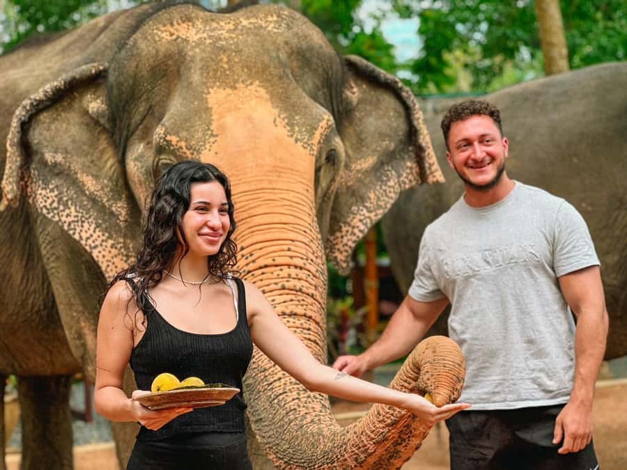Koh Samui: Ethical Elephant Home Guided Tour with Transfers - Who should book this (and who might not)
