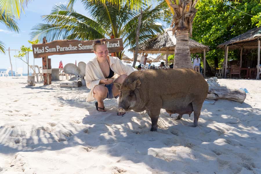 Koh Samui: Island Hopping Adventure in Coral and Pig Island - Food on an Island: Lunch You Won’t Regret