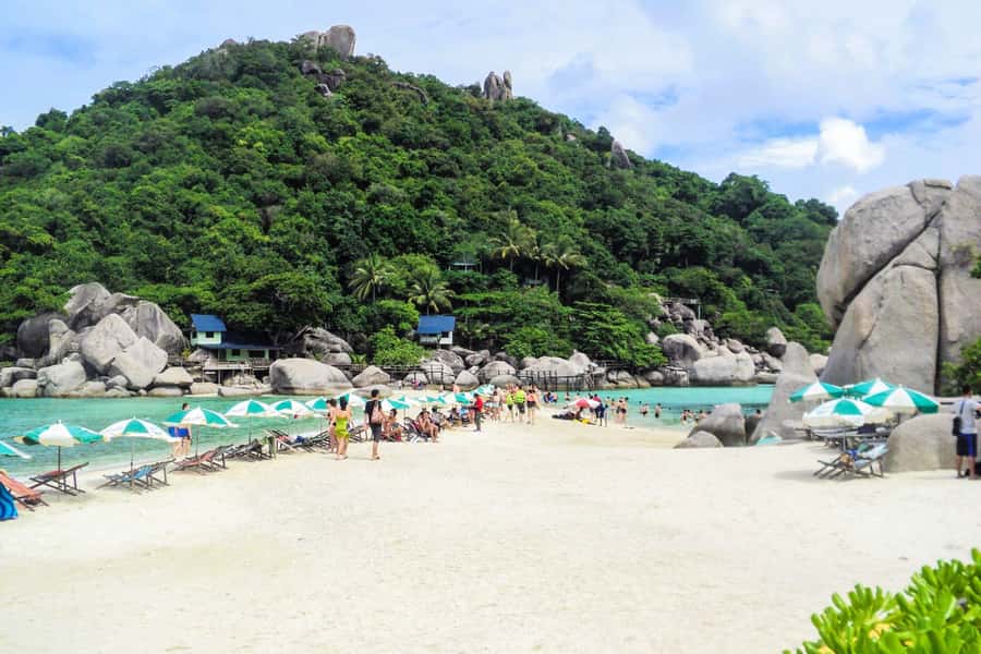 Koh Samui: Koh Tao and Nangyuan Snorkeling Tour with Lunch - Safety, Comfort, and Who Should Think Twice