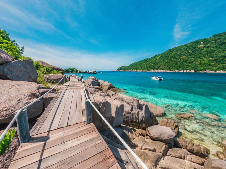 Koh Samui: Koh Tao and Nangyuan Snorkeling Tour with Lunch - What’s Included vs Extra Fees: The Money Math That Keeps You Calm