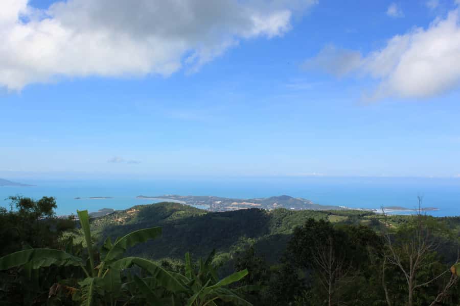 Koh Samui: Mr.Ung's 4WD Wild Jungle Safari Tour with Lunch - Secret Buddha Garden and Wat Teepangkorn: the calmer feet-on-the-ground part