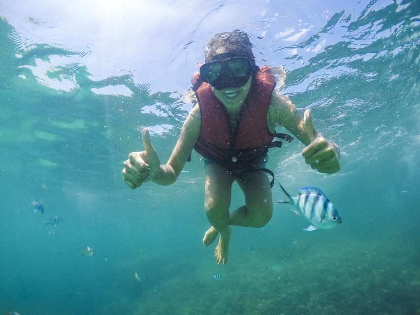 Koh Samui: Pig Island Tour by Speedboat with Snorkeling - Key things I’d plan around on this tour