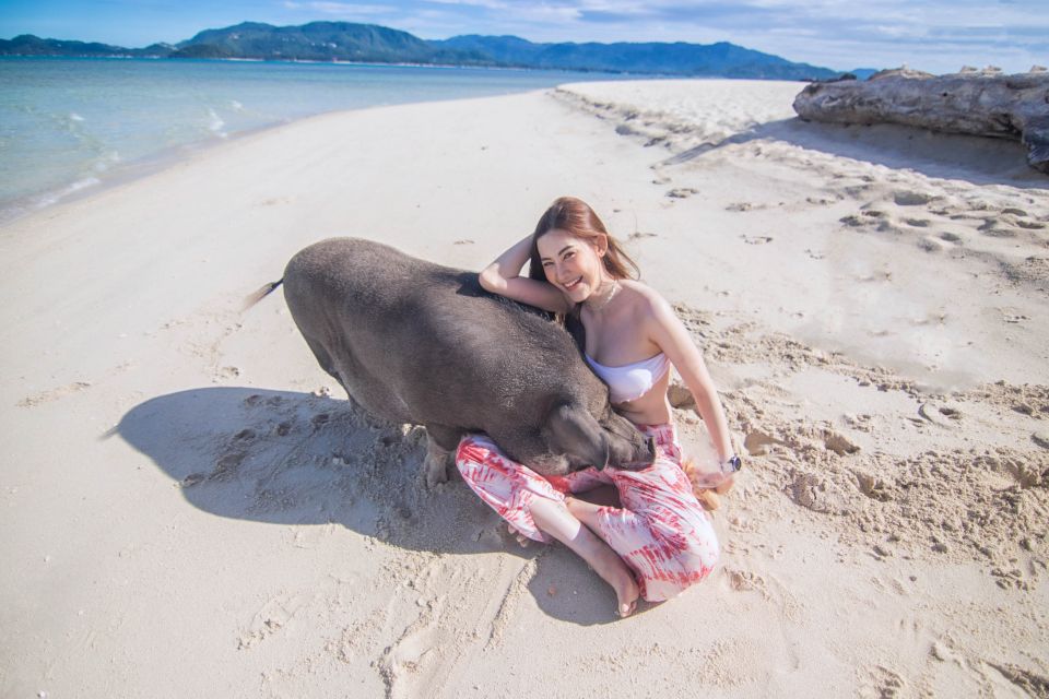 Koh Samui: Pig Island Tour by Speedboat with Snorkeling - Speedboat comfort: quick, fun, and run like a tidy operation