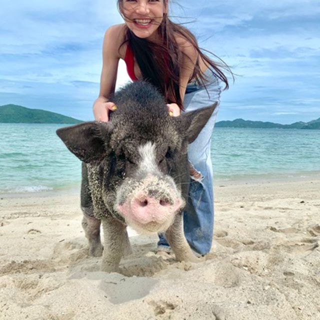 Koh Samui: Pig Island Tour by Speedboat with Snorkeling - Timing and pacing: how a 4–5 hour tour stays fun