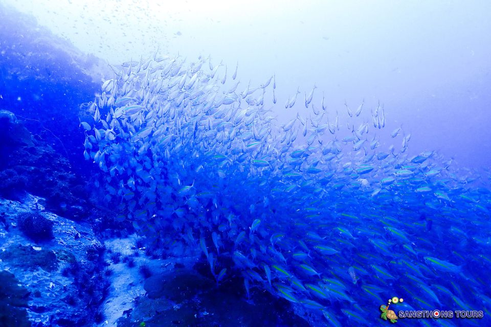Koh Tao: Islands Snorkeling Highlights Day Tour & Lunch - Price and value: why $27 can feel like more