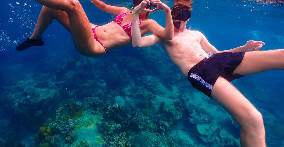 Koh Tao: Islands Snorkeling Highlights Day Tour & Lunch - Shark Bay: the stop people remember for sharks and turtles