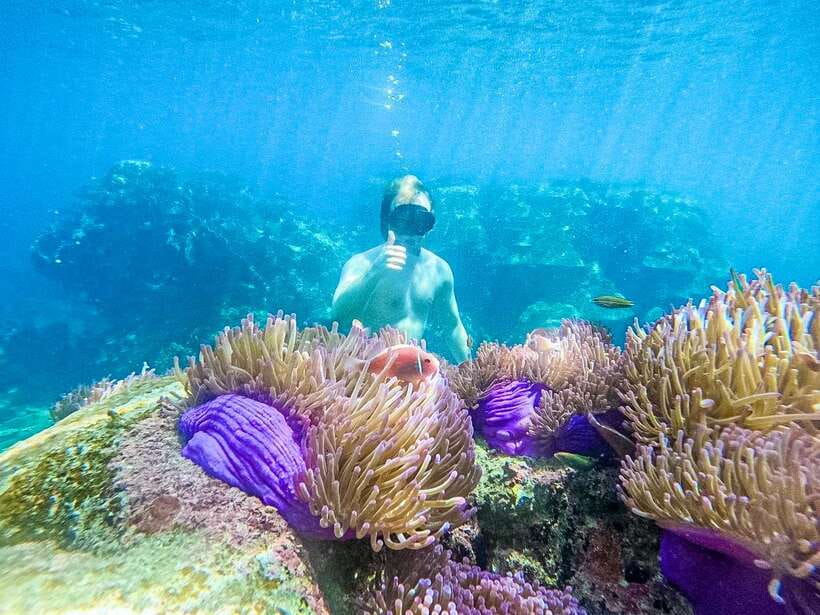 Koh Tao: Koh Nangyuan & Hidden Bays Snorkeling Tour w/ Lunch - Key highlights I think you’ll care about