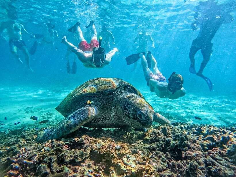 Koh Tao: Koh Nangyuan & Hidden Bays Snorkeling Tour w/ Lunch - Seven hours on Koh Tao: what the day is really like
