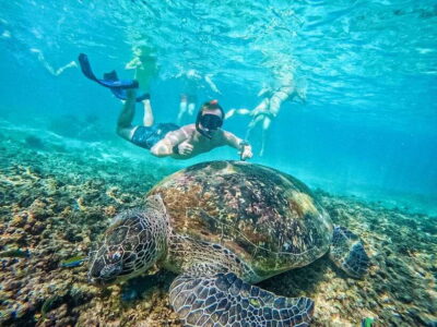 Koh Tao: Koh Nangyuan & Hidden Bays Snorkeling Tour w/ Lunch - Getting to the boat: pickup timing and what you pack