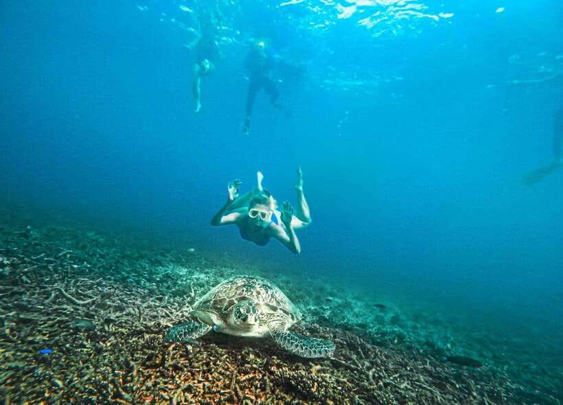Koh Tao: Koh Nangyuan & Hidden Bays Snorkeling Tour w/ Lunch - Safety, reef rules, and why you should be a confident swimmer