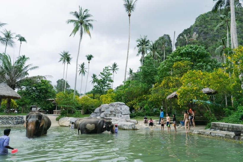 Krabi: Ao Nang Elephant Sanctuary Half-Day Tour - What to bring (so you don’t suffer later)