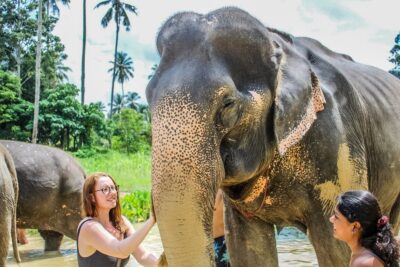 Krabi: Ao Nang Elephant Sanctuary Half-Day Tour - Getting your elephant briefing: behavior lessons that actually help