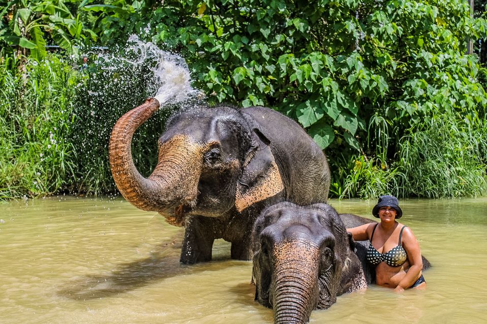 Krabi: Ao Nang Elephant Sanctuary Half-Day Tour - Bathing, brushing, and cooling off in the water