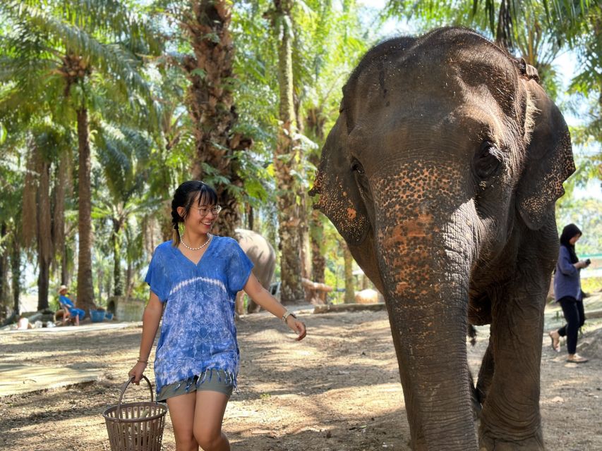 Krabi: Elephant Bathing Session at Krabi Elephant Shelter - Quick hits before you go