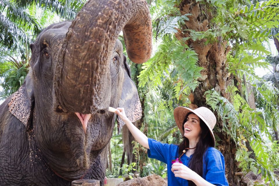 Krabi: Elephant Bathing Session at Krabi Elephant Shelter - The 90-minute flow: feed first, then bathing and showering