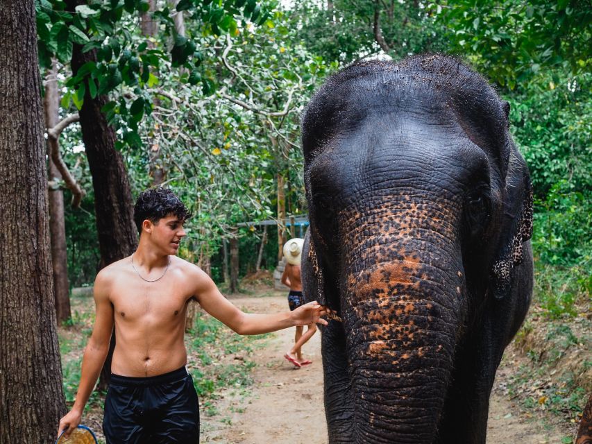 Krabi: Elephant Bathing Session at Krabi Elephant Shelter - Photos and refreshments: the small extras that boost the value