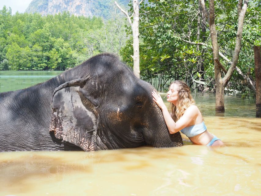 Krabi: Elephant Bathing Session at Krabi Elephant Shelter - Price and value: what $48 gets you (and what it doesn’t)