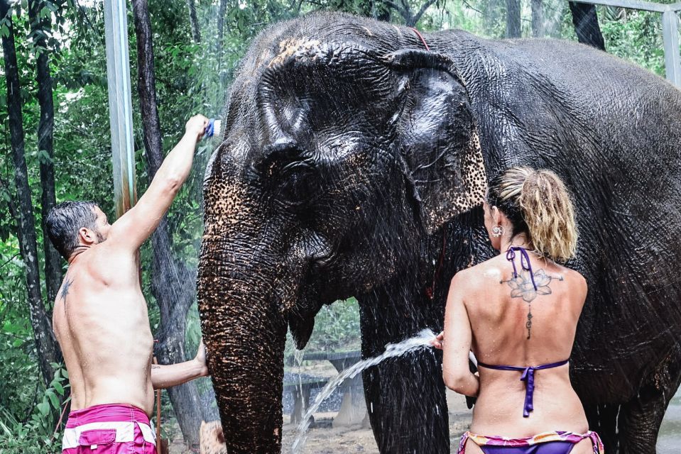 Krabi: Elephant Bathing Session at Krabi Elephant Shelter - Who should book this Krabi elephant session
